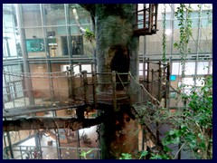 Universeum 56